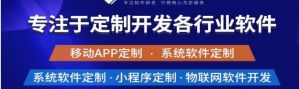 揭示專業(yè)軟件開發(fā)和定制公司的需求。</a>